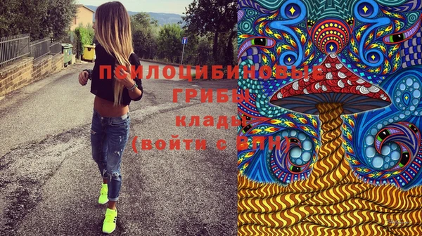 тгк Касимов