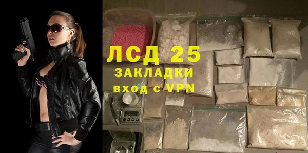 стаф Каменск-Шахтинский