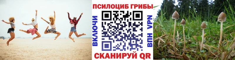 Галлюциногенные грибы Psilocybine cubensis  МЕГА ONION  Кыштым 